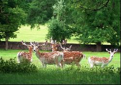 The Ripley Castle Estate