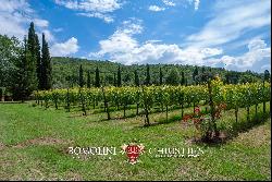 FORMER CONVENT WITH SMALL VINEYARDS FOR SALE IN CORTONA, LAKE TRASIMENO