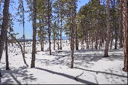 Amazing opportunity to purchase a gorgeous 2.82 acre parcel in Black Forest