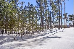 Amazing opportunity to purchase a gorgeous 2.82 acre parcel in Black Forest