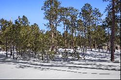 Amazing opportunity to purchase a gorgeous 2.82 acre parcel in Black Forest