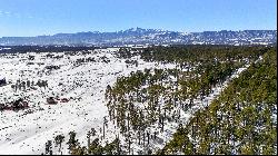 Amazing opportunity to purchase a gorgeous 2.82 acre parcel in Black Forest