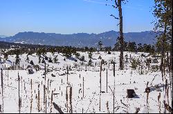 Amazing opportunity to purchase a gorgeous 2.82 acre parcel in Black Forest