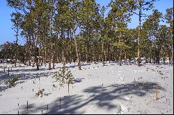 Amazing opportunity to purchase a gorgeous 2.82 acre parcel in Black Forest