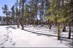 Amazing opportunity to purchase a gorgeous 2.82 acre parcel in Black Forest