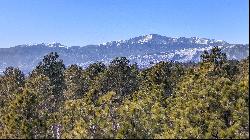 Amazing opportunity to purchase a gorgeous 2.82 acre parcel in Black Forest