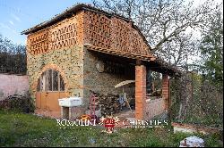 SMALL WINE ESTATE WITH 3.8 HA VINEYARDS FOR SALE IN CHIANTI CLASSICO