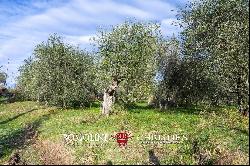 SMALL WINE ESTATE WITH 3.8 HA VINEYARDS FOR SALE IN CHIANTI CLASSICO