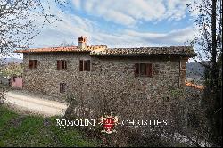 SMALL WINE ESTATE WITH 3.8 HA VINEYARDS FOR SALE IN CHIANTI CLASSICO