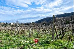 SMALL WINE ESTATE WITH 3.8 HA VINEYARDS FOR SALE IN CHIANTI CLASSICO