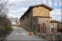 SMALL WINE ESTATE WITH 3.8 HA VINEYARDS FOR SALE IN CHIANTI CLASSICO