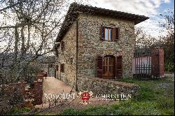 SMALL WINE ESTATE WITH 3.8 HA VINEYARDS FOR SALE IN CHIANTI CLASSICO