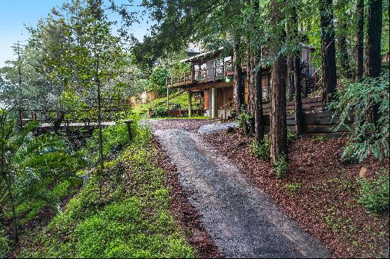 Secluded Sanctuary Amongst the Redwoods