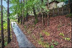 Secluded Sanctuary Amongst the Redwoods