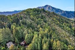 Secluded Sanctuary Amongst the Redwoods