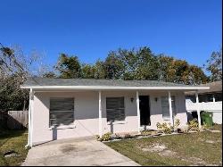 8518 North Lynn Avenue, TAMPA, FL, 33604