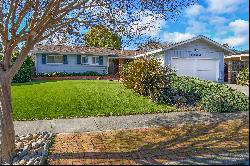 Highly Sought-After Redwood Village Neighborhood