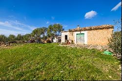 Country Home, Alaró, Mallorca, Spain, 07340