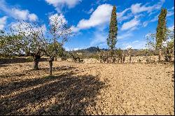 Country Home, Alaró, Mallorca, Spain, 07340