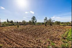 Country Home, Alaró, Mallorca, Spain, 07340