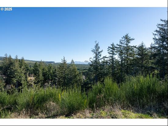 Ava-Lot 8 Pl, Oceanside OR 97134