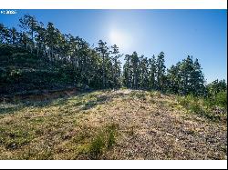 Highland-Lot1 Dr, Oceanside OR 97134