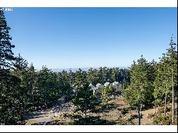 Highland-Lot1 Dr, Oceanside OR 97134