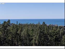 Highland-Lot1 Dr, Oceanside OR 97134