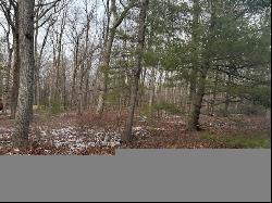 Lot 6 Sagamore Road, Shohola PA 18458