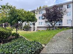 960 Shorepoint Ct Unit 314, Alameda CA 94501