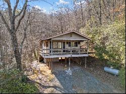 338 Canter Court, Ellijay GA 30540