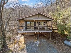 338 Canter Court, Ellijay GA 30540