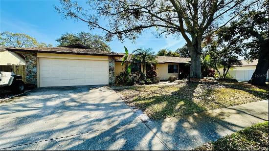 1670 Monterey Drive, Clearwater FL 33756