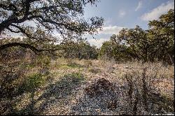 1463 Whispering Woods Trail, New Braunfels TX 78132