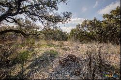 1463 Whispering Woods Trail, New Braunfels TX 78132