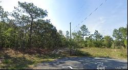 2779 W Tracy Court, Dunnellon FL 34433