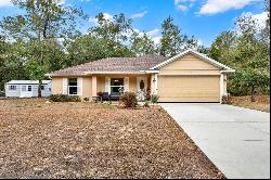 10005 N Ocean Drive, Citrus Springs FL 34434