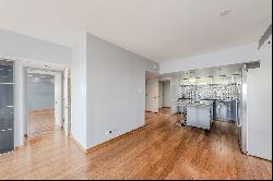 175 E Delaware Place #8001, Chicago IL 60611