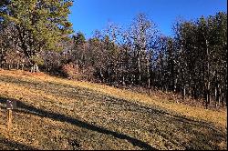 BANNER ELK - THE LODGES AT EAGLES NEST