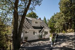 231 Crest Circle, Lake Arrowhead, CA 92352