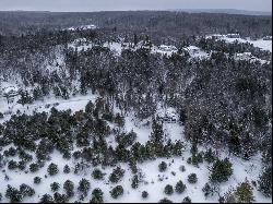 Lodgepole Lot