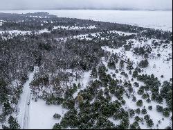 Lodgepole Lot