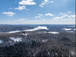 Luxury Lodge with 94 acres above Neversink Reservoir