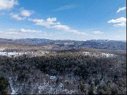 Luxury Lodge with 94 acres above Neversink Reservoir