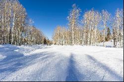 Scenic Timber Lakes Lot with Aspen & Pine Trees-Ideal for Your Mountain Retreat