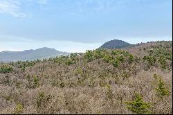 Lot 21 Hardscrabble Ridge Road