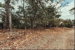 Lot A-104, Section A – Panoramic Nosara Valley Views