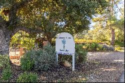 Clairmont Lavender Farms