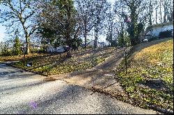 Vacant Lot Tucked Away in Joyland Park