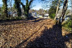 Vacant Lot Tucked Away in Joyland Park